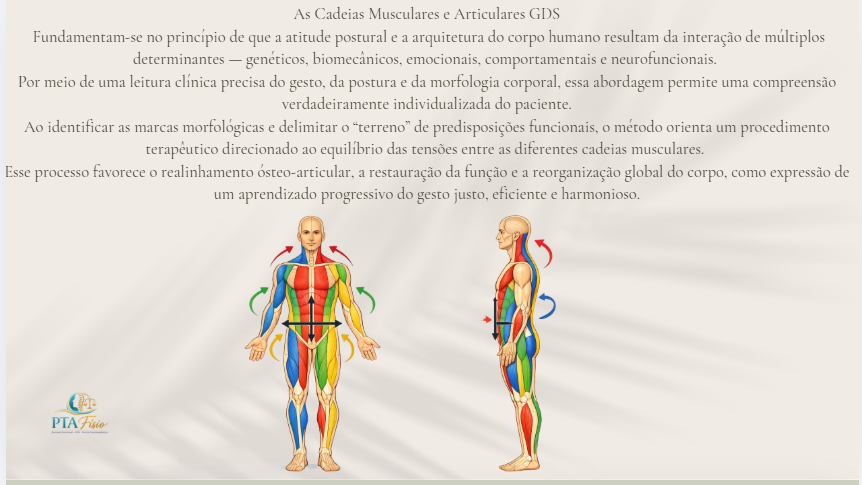 Cadeias musculares e articulares GDS